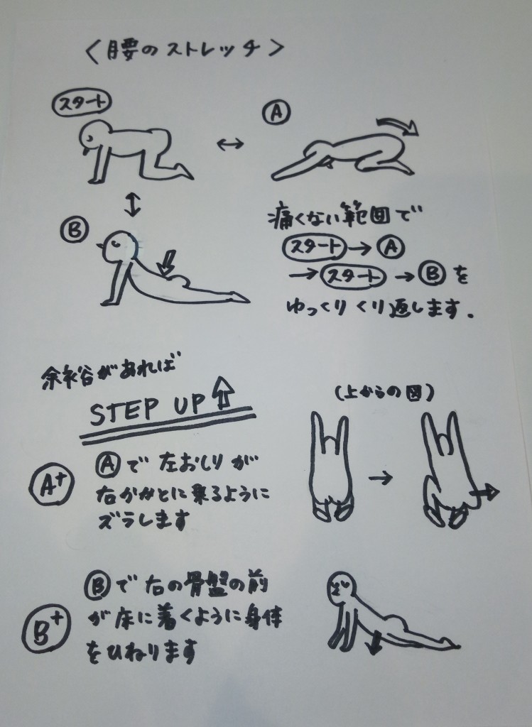 腰ストレッチ